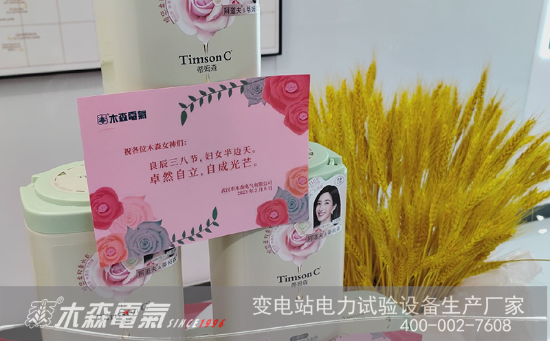 獻給幸福女神,3.8女神節快樂,木森電氣